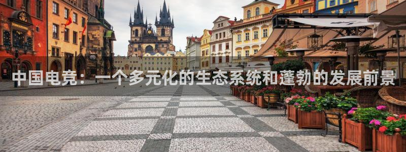 im电竞和泛亚电竞哪个好：中国电竞：一个多元化的生态系统和蓬勃的发展前景